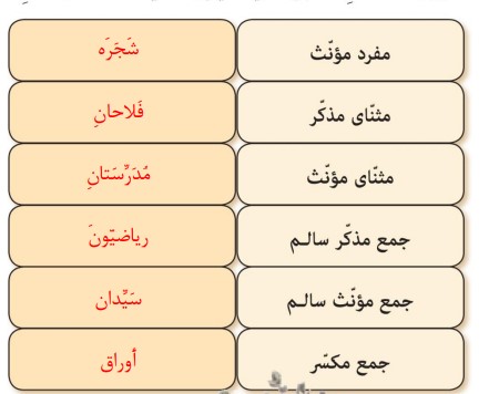 جواب صفحه 14 عربی نهم