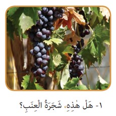 جواب صفحه 17 عربی هفتم