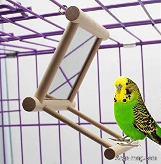 نمونه هایی ایده آل و جذاب برای دیزاین قفس پرنده
