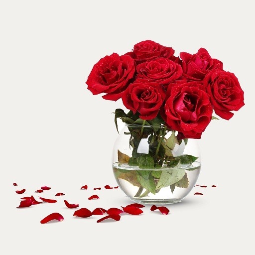عکس گل قرمز و خاص در گلدان شیشه ای