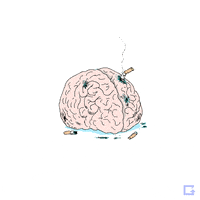 گیف مغز