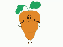 گیف هویج