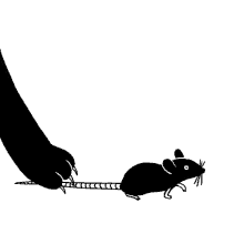 گیف موش