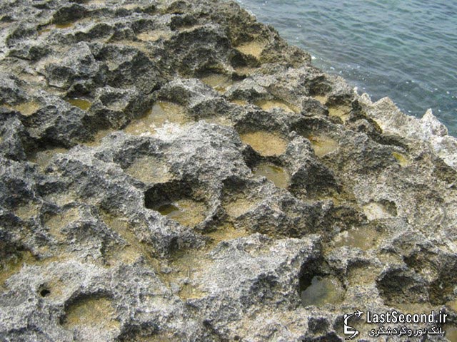 سنگهای مرجانی در منطقه ساحلی