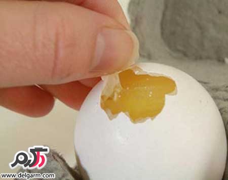 آموزش درست کردن تخم مرغ رنگی مدل غول چه