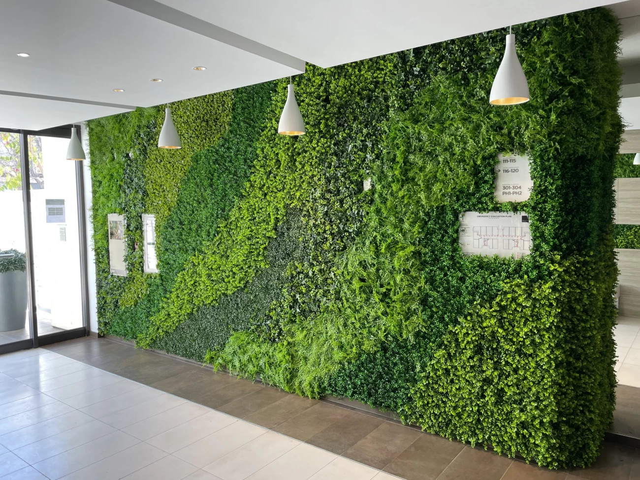 تصاویر دیوار سبز هیدروپونیک 