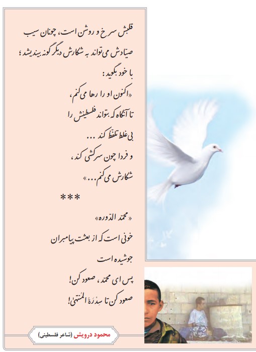 معنی پرنده آزادی فارسی هشتم