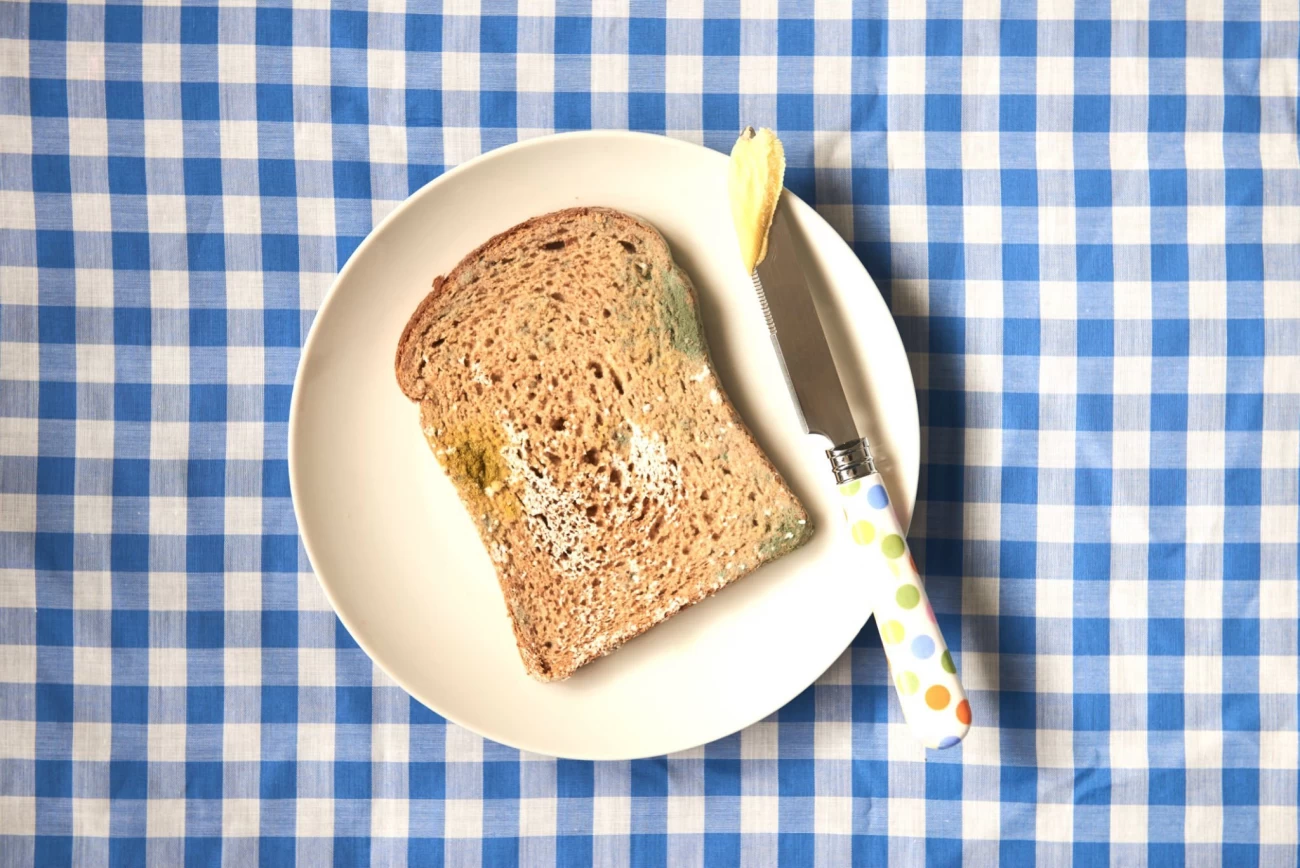 جلوگیری از کپک زدن نان و روش تهیه نان در خانه