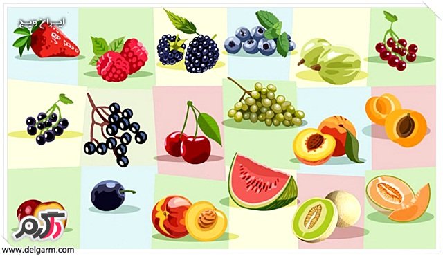 چاقی ، میوه ها ،فروکتوز ، کربو هیدرات، قند میوه