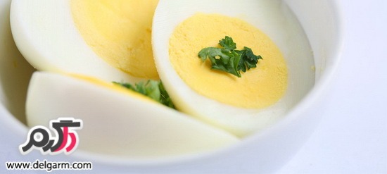 روش های آشپزی با تخم مرغ