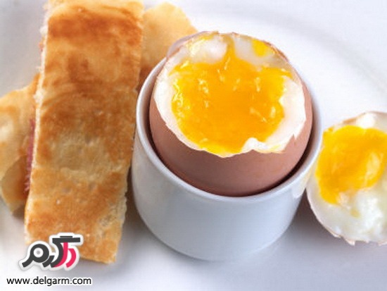 روش های آشپزی با تخم مرغ