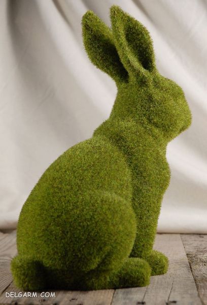 سبزه مدل 98 خرگوشی