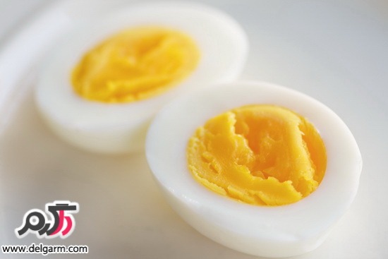 فواید و مضرات سفیده تخم مرغ و زرده تخم مرغ