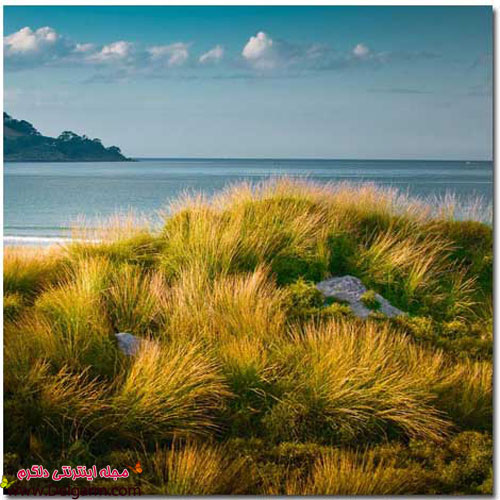 تصاویری از طبیعت بسیار زیبای نیوزیلند