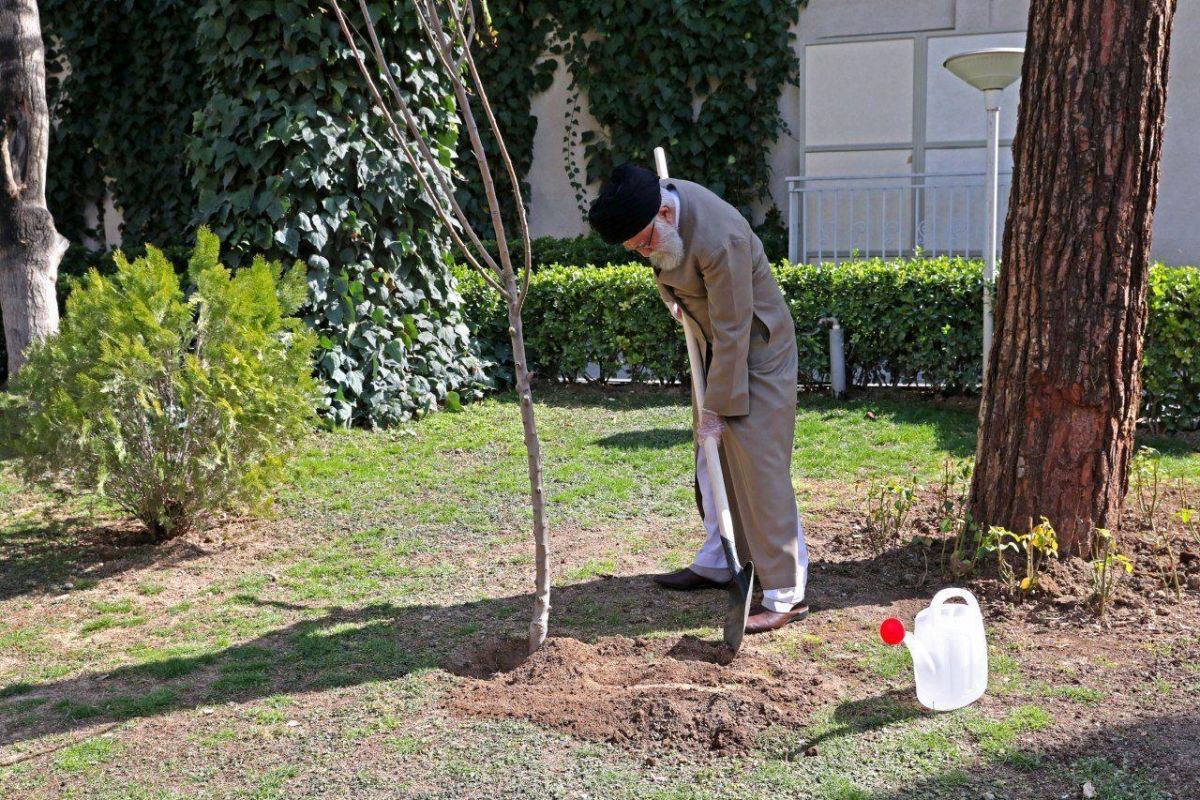 تصویری از رهبر انقلاب در حال درختکاری