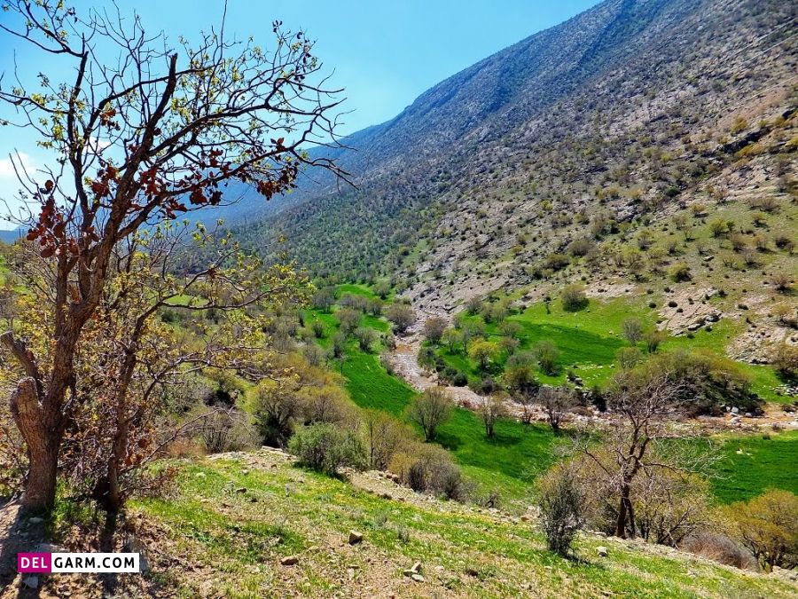 دالاهو منطقه ای سرسبز با آب های خروشان در استان کرمانشاه