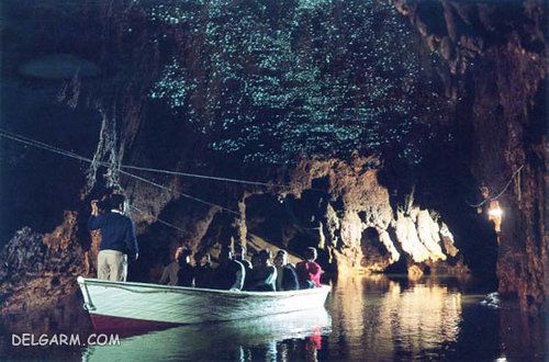 غار کرم‌های شب‌تاب 