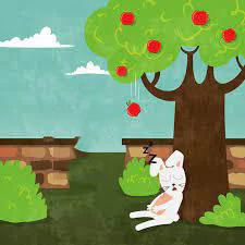 دانلود قصۀ صوتی خرگوش و درخت سیب