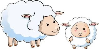 داستان کوتاه کودکانه گوسفند کوچولو و برادرش