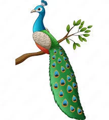 قصه زاغ و طاووس
