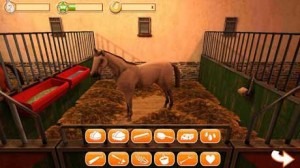 دانلود بازی اسب سواری HorseWorld 3D: My Riding Horse v1.5 برای اندروید