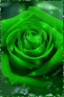 گیف گل سبز