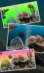 دانلود لایو والپیپر اکواریم Marine Aquarium 3.2 PRO برای اندروید