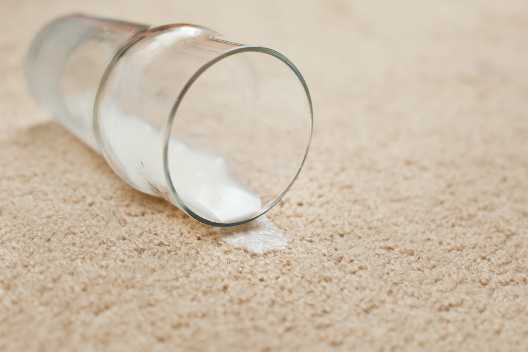  رفع لک شیر از روی فرش