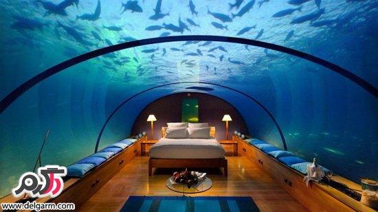 رستورانی زیر آب /با تنها رستوران زیردریای دنیا در مالدیو آشنا شوید.