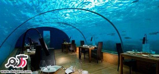 رستورانی زیر آب /با تنها رستوران زیردریای دنیا در مالدیو آشنا شوید.