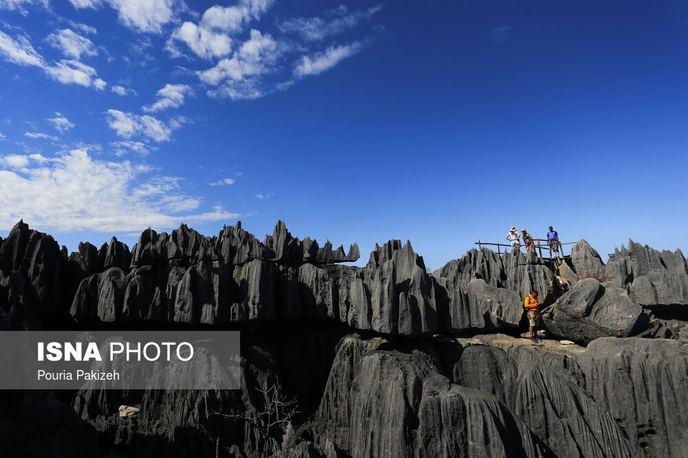 روایت تصویری از چهارمین جزیره ی زیبای دنیا , جزیره ماداگاسکار