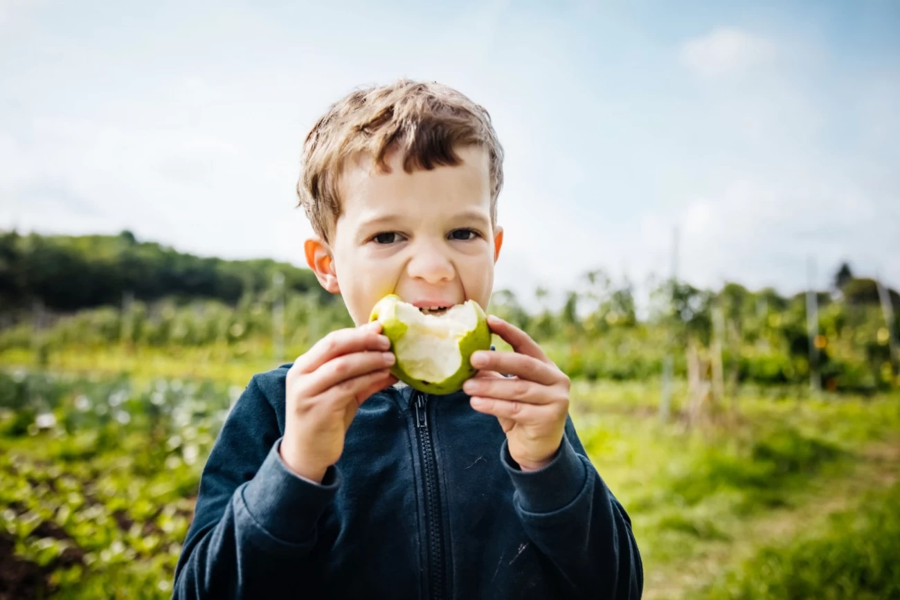 آیا خوردن میوه زیاد مضر است؟ 