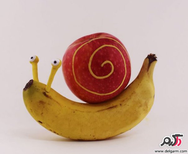 ساختن شکل و حیوان با میوه ها