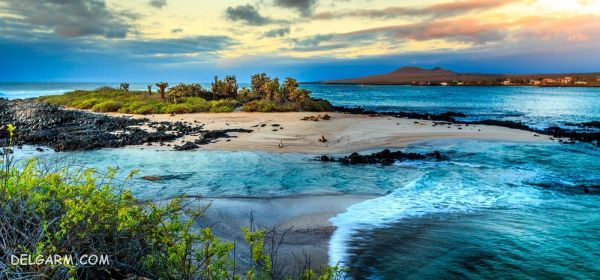 جزایر گالاپاگوس (The Galapagos Islands)، جزیره اکوادوری (Ecuadorian Island) در اقیانوس آرام