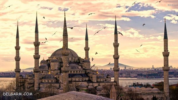 شرایط و مراحل ثبت شرکت و دریافت اقامت در ترکیه