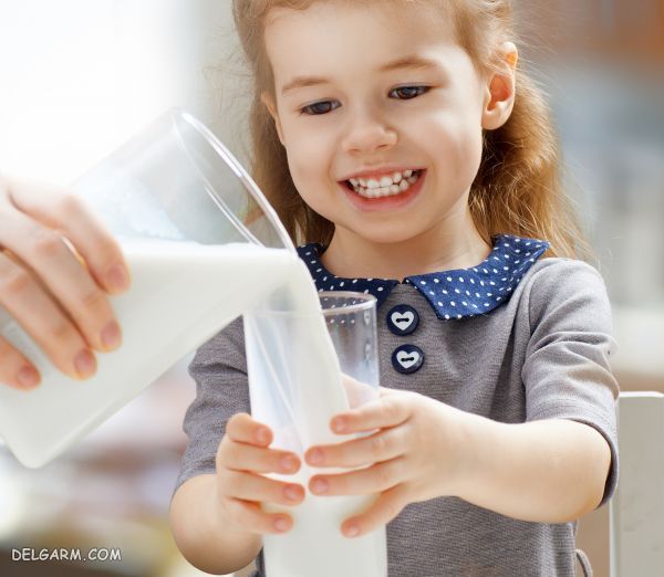 شیر را سرد بخوریم یا گرم ؟ + فواید انواع شیر برای سلامتی