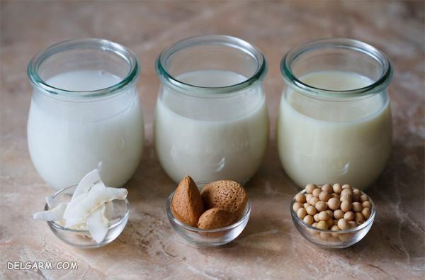 شیر های گیاهی : طرز تهیه ۷ مدل شیر گیاهی و خواص آنها