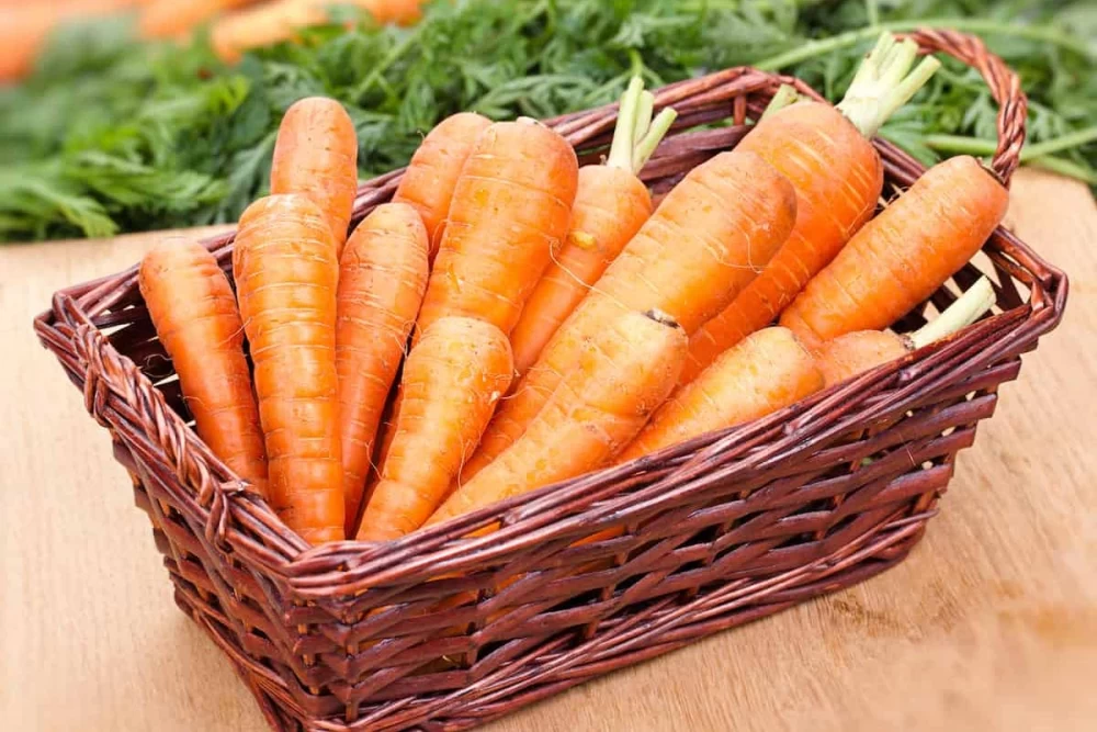 طبع هویج چیست