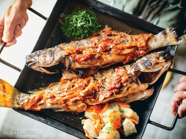 طرز تهیه ۸ غذای دریایی بی نظیر با ماهی + عکس