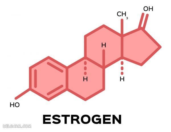 افزایش استروژن در زنان / علائم بالا بودن استروژن در زنان / عوارض و مشکلات ناشی از استروژن بالا