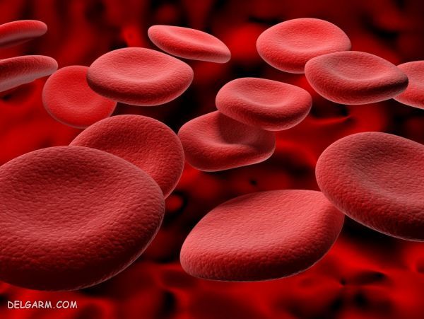 عوارض فریتین خون بالا در بدن + راههای درمان