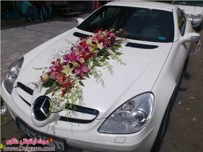عکس هایی از تزئین ماشین عروس