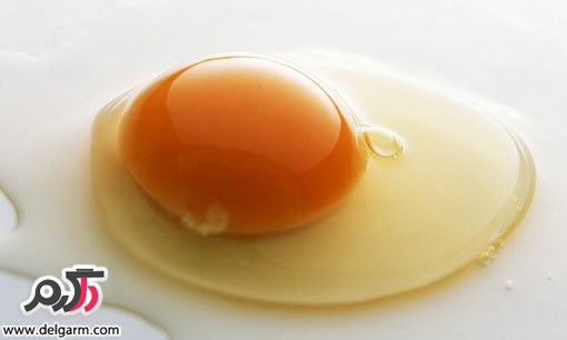 فواید تخم مرغ و دلیل خوردن تخم مرغ برای صبحانه