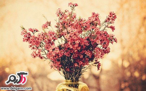 مدل دسته گل همراه با گل های طبیعی و زیبا