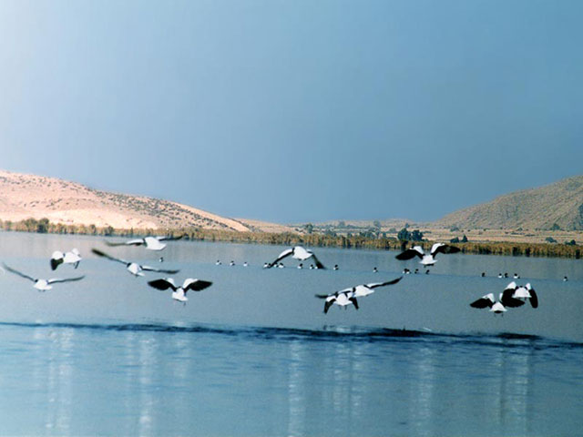 دریاچه های زیبای ایران و جهان