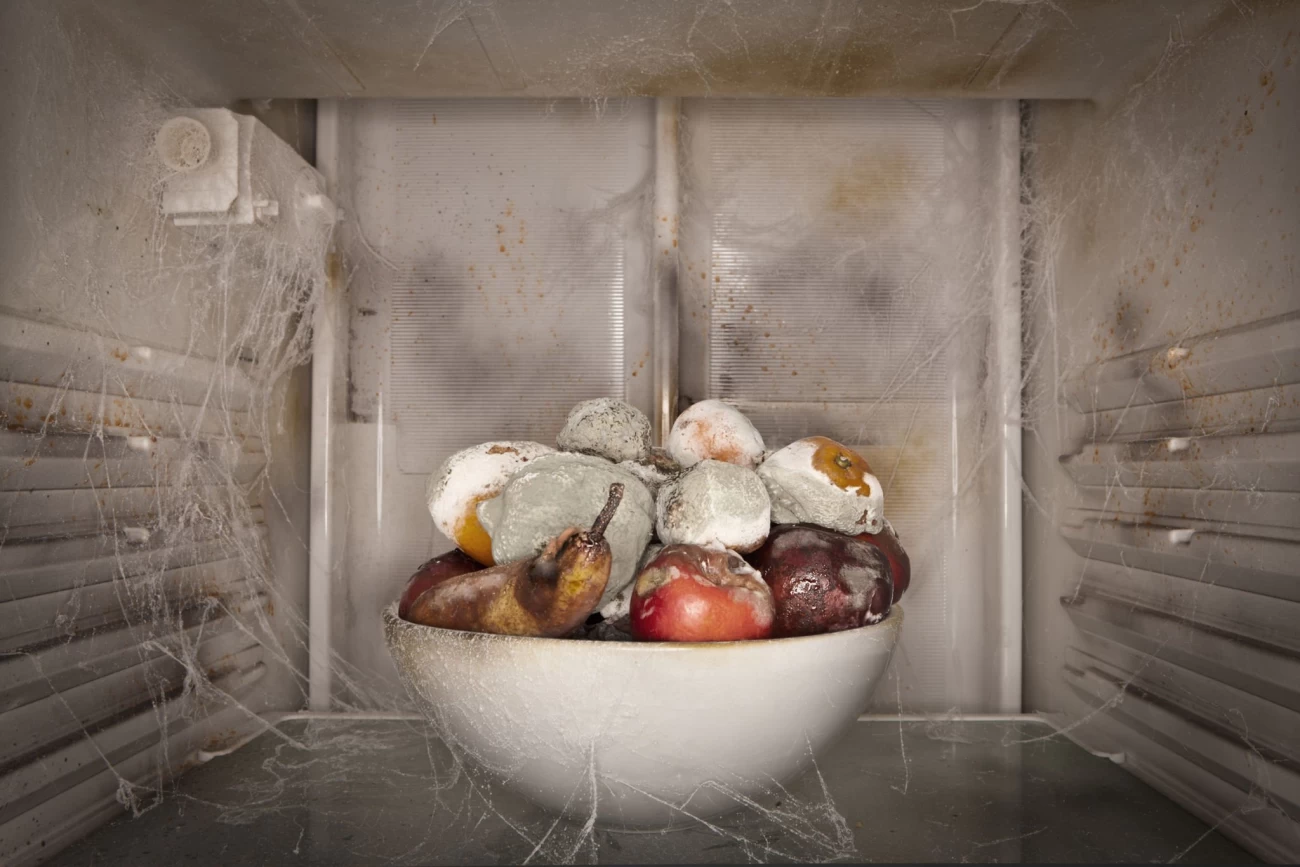 جلوگیری از کپک زدن مواد غذایی در یخچال 