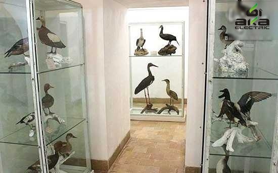 موزه باغ وحش اکبریه بیرجند را از دست ندهید