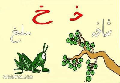 نقاشی و رنگ آمیزی حرف (خـ _ خ) برای کودکان دبستانی