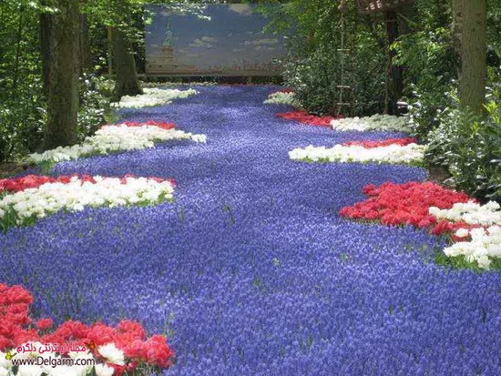نمایشگاه گل های کویکن هوف درسرزمین هلند