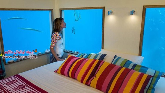 هتلی زیبا و باورنکردنی در اعماق دریا+تصاویر هتل